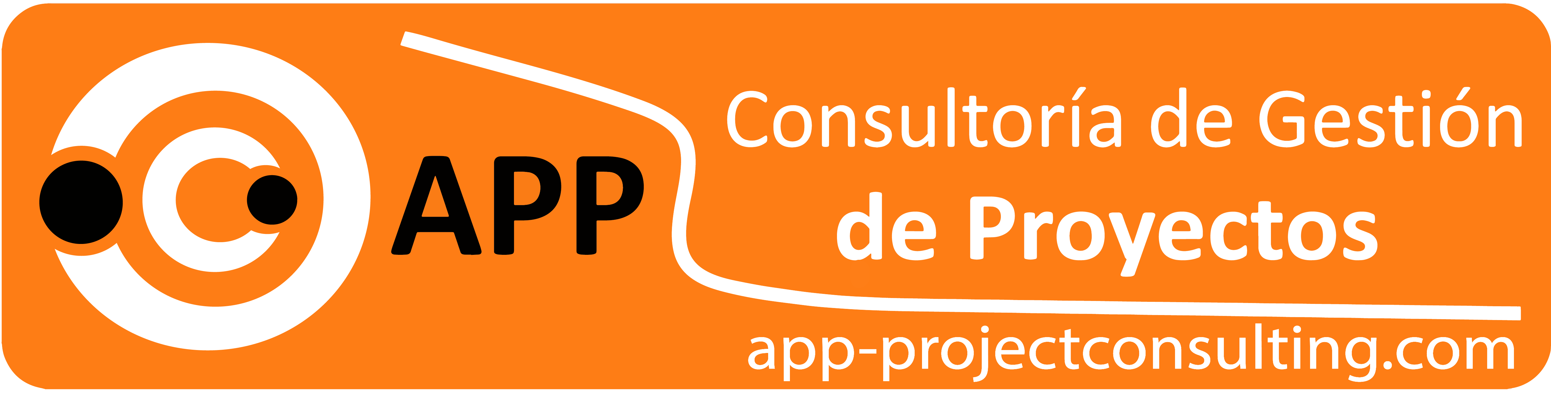 APP Consultora de Gestin de Proyectos